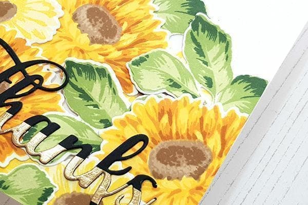 All About Layering Class Bundle (SAVE $167.93) Online Cardmaking Class