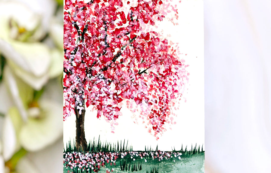 Coloring Beyond Boundaries with Erum class schedule