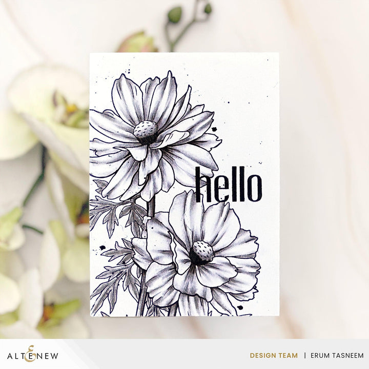 Coloring Beyond Boundaries with Erum Tasneem (Class Pass Only)