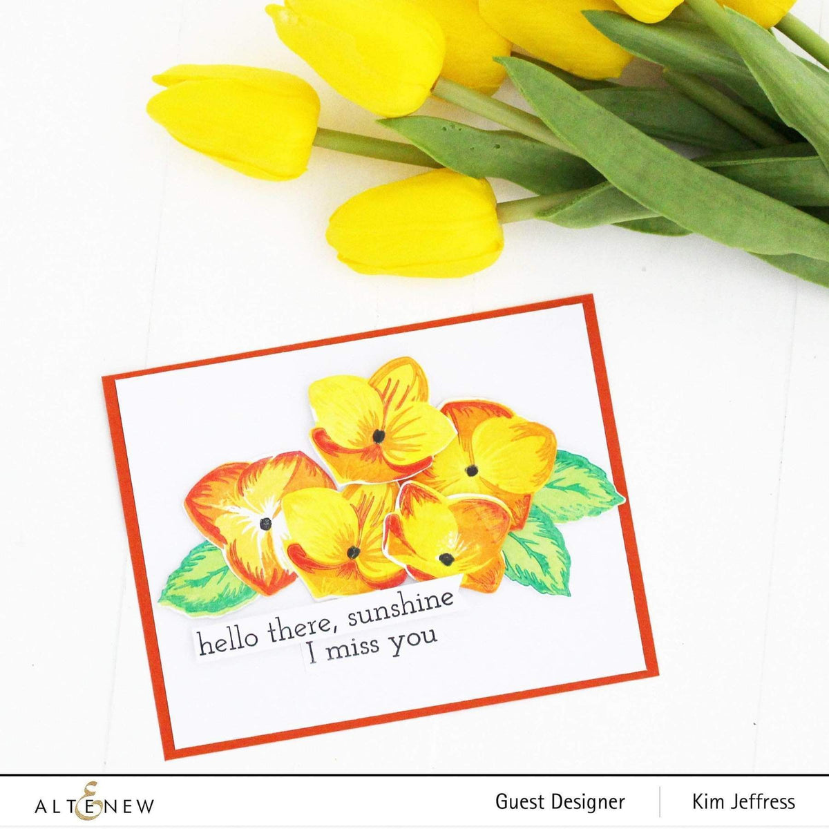 Altenew Creativity Kit Featurette Coloring Embossing Paste Class