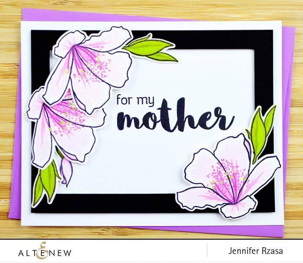 Altenew Creativity Kit Featurette Creating a Softer Stamp Look with No Outline Class