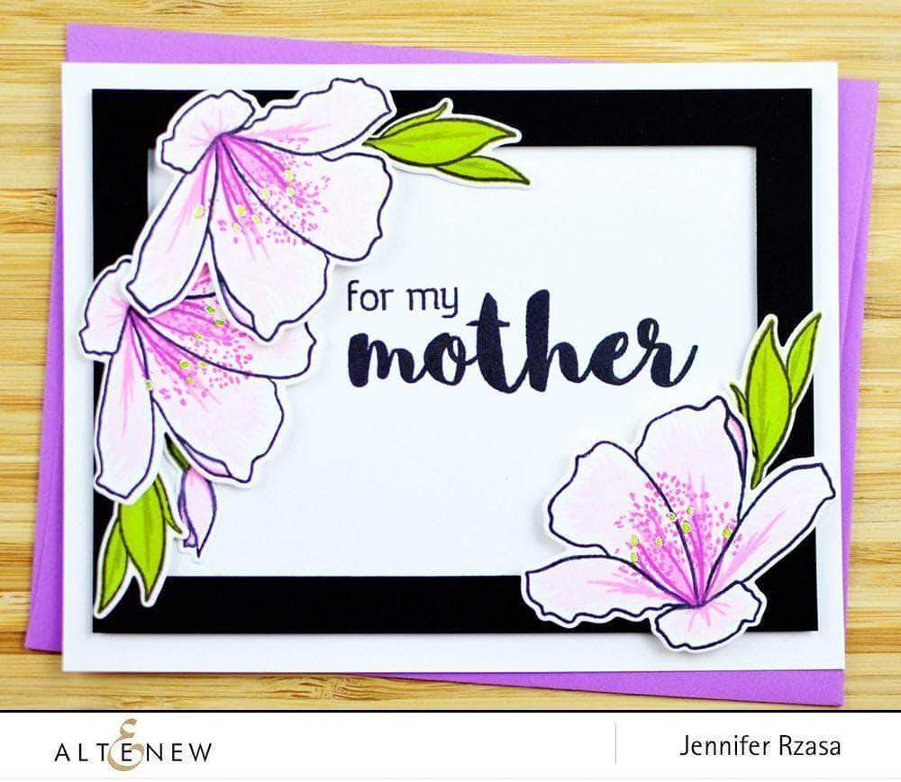 Altenew Creativity Kit Featurette Creating a Softer Stamp Look with No Outline Class