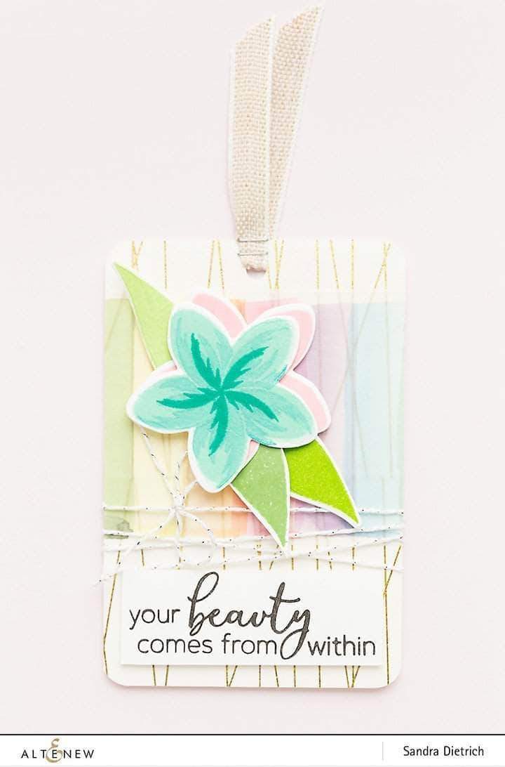 Altenew Creativity Kit Featurette Doodling Over Solid Images Class