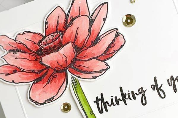 Altenew Quick & Simple Cards for Everyday Crafting on demand class with class pass and kit, featuring colorful handmade greeting cards.
