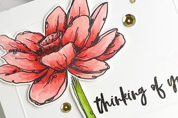 Altenew Class Quick & Simple Cards for Everyday Crafting Online Cardmaking Class