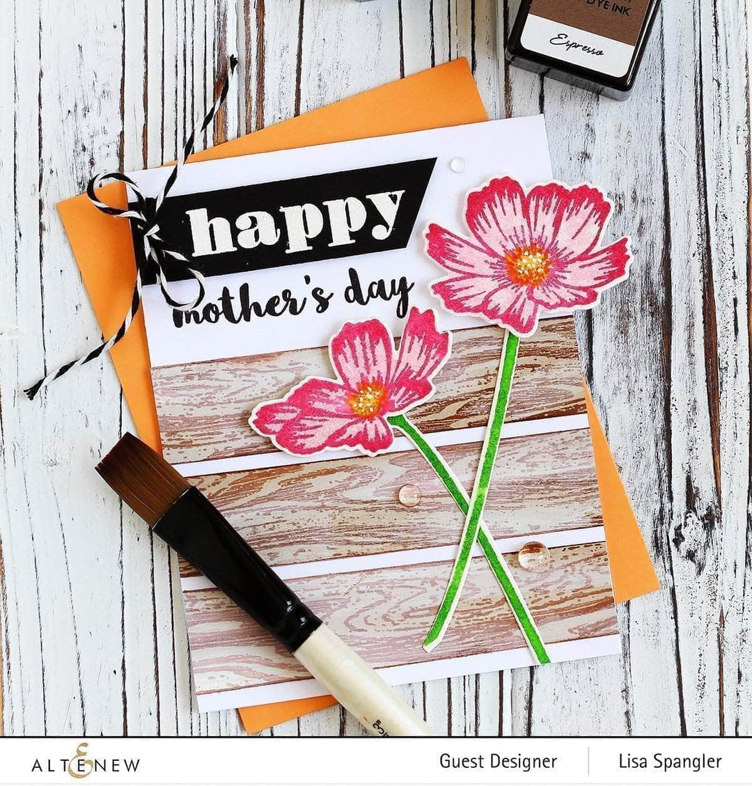 Photocentric Clear Stamps A Walk in the Woods Stamp Set