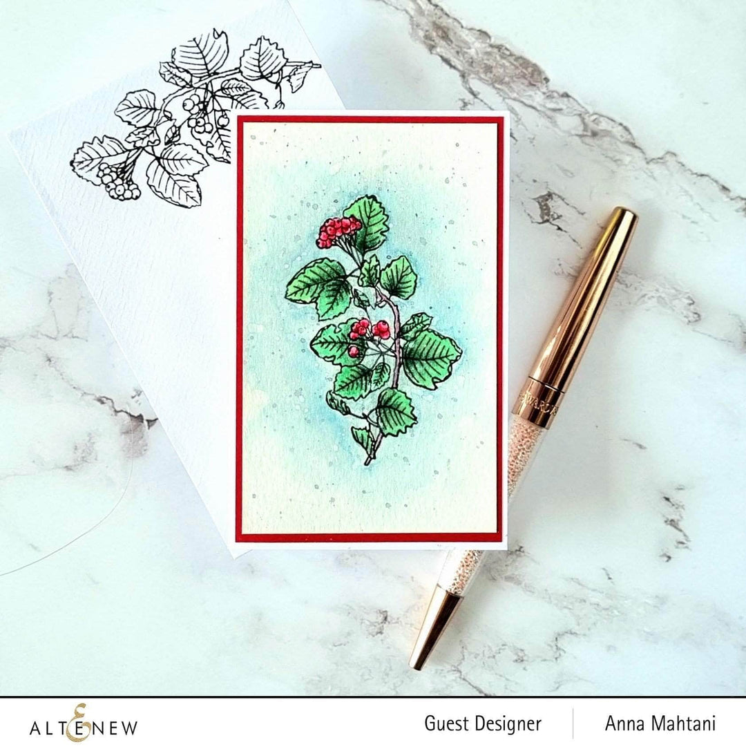 Photocentric Clear Stamps Acai Berry Branch Stamp Set