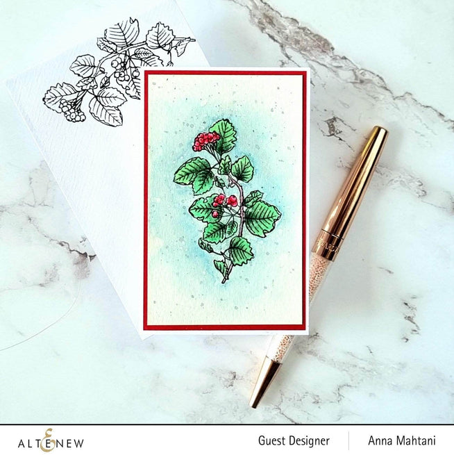 Photocentric Clear Stamps Acai Berry Branch Stamp Set