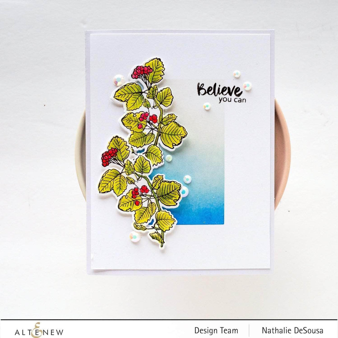 Photocentric Clear Stamps Acai Berry Branch Stamp Set