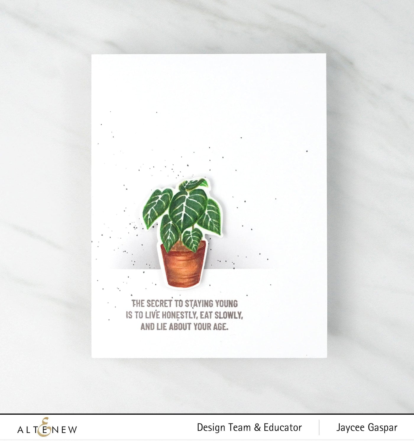 Photocentric Clear Stamps Adorable Anthurium Stamp Set
