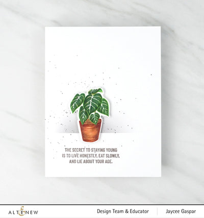 Photocentric Clear Stamps Adorable Anthurium Stamp Set