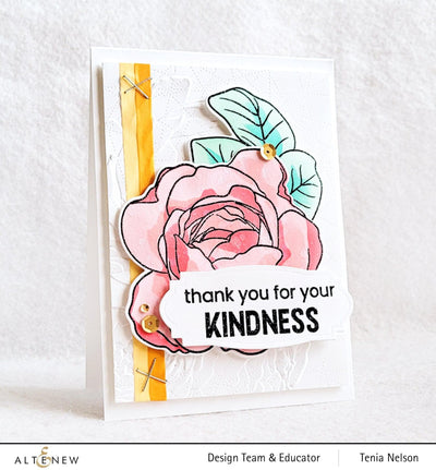 Photocentric Clear Stamps Ambridge Rose Stamp Set