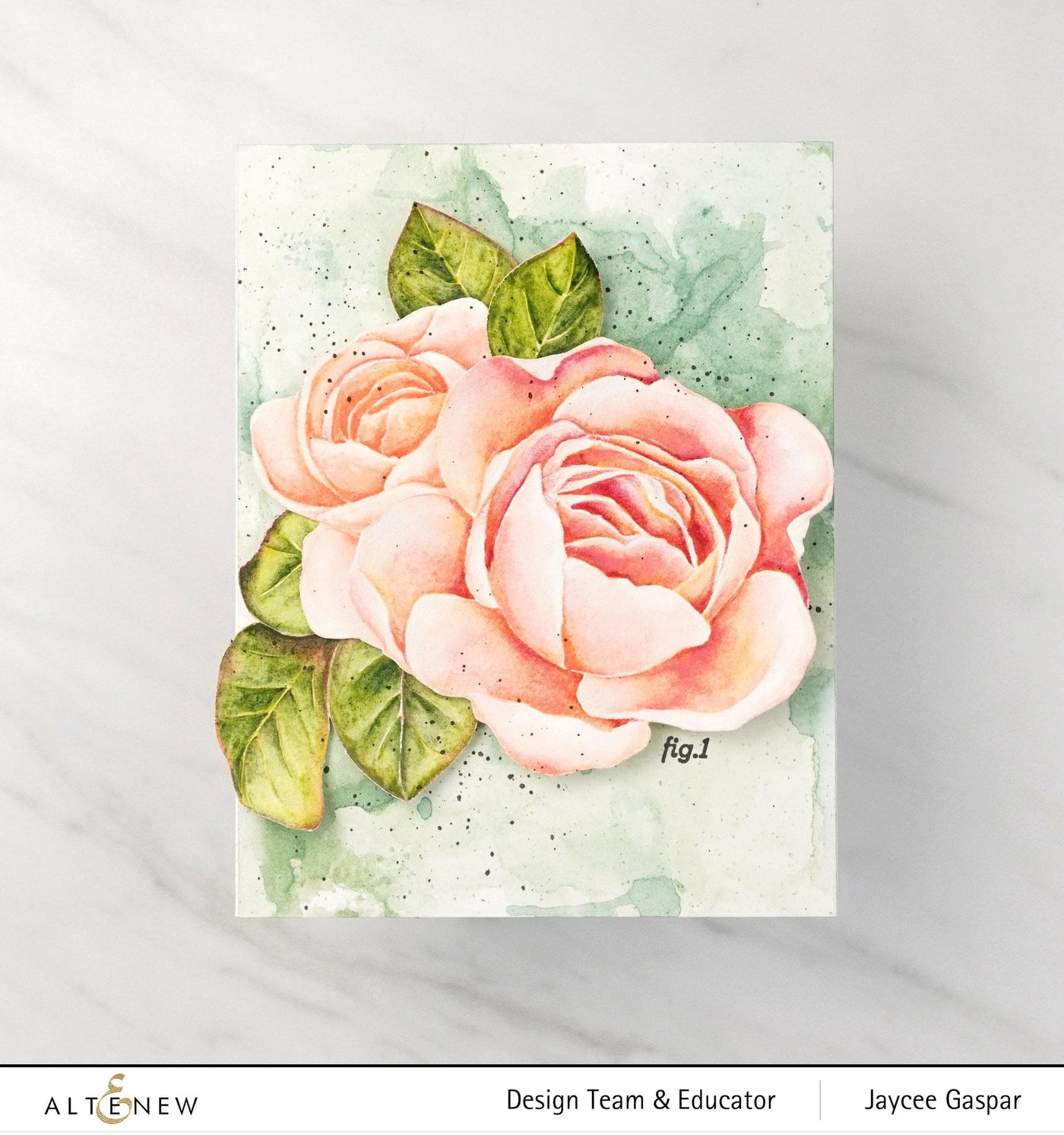 Photocentric Clear Stamps Ambridge Rose Stamp Set