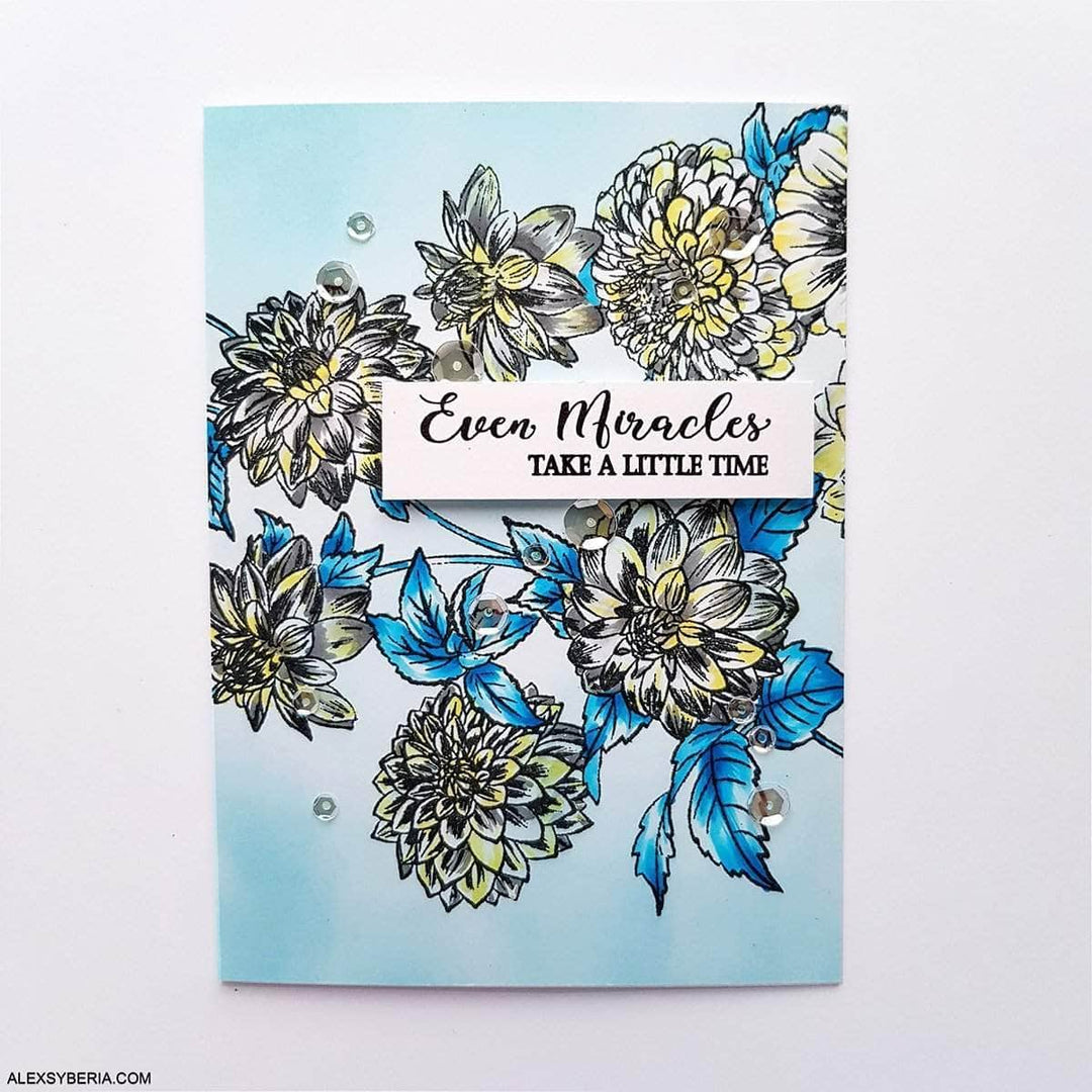 Photocentric Clear Stamps Beautiful Blossoms Stamp Set