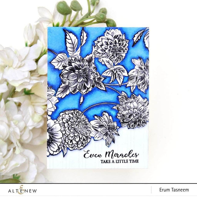 Photocentric Clear Stamps Beautiful Blossoms Stamp Set