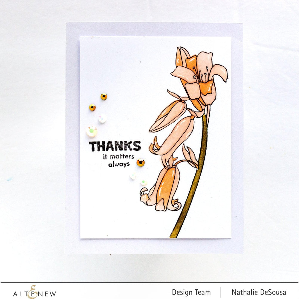 Photocentric Clear Stamps Beautiful Inside Add-On Stamp Set