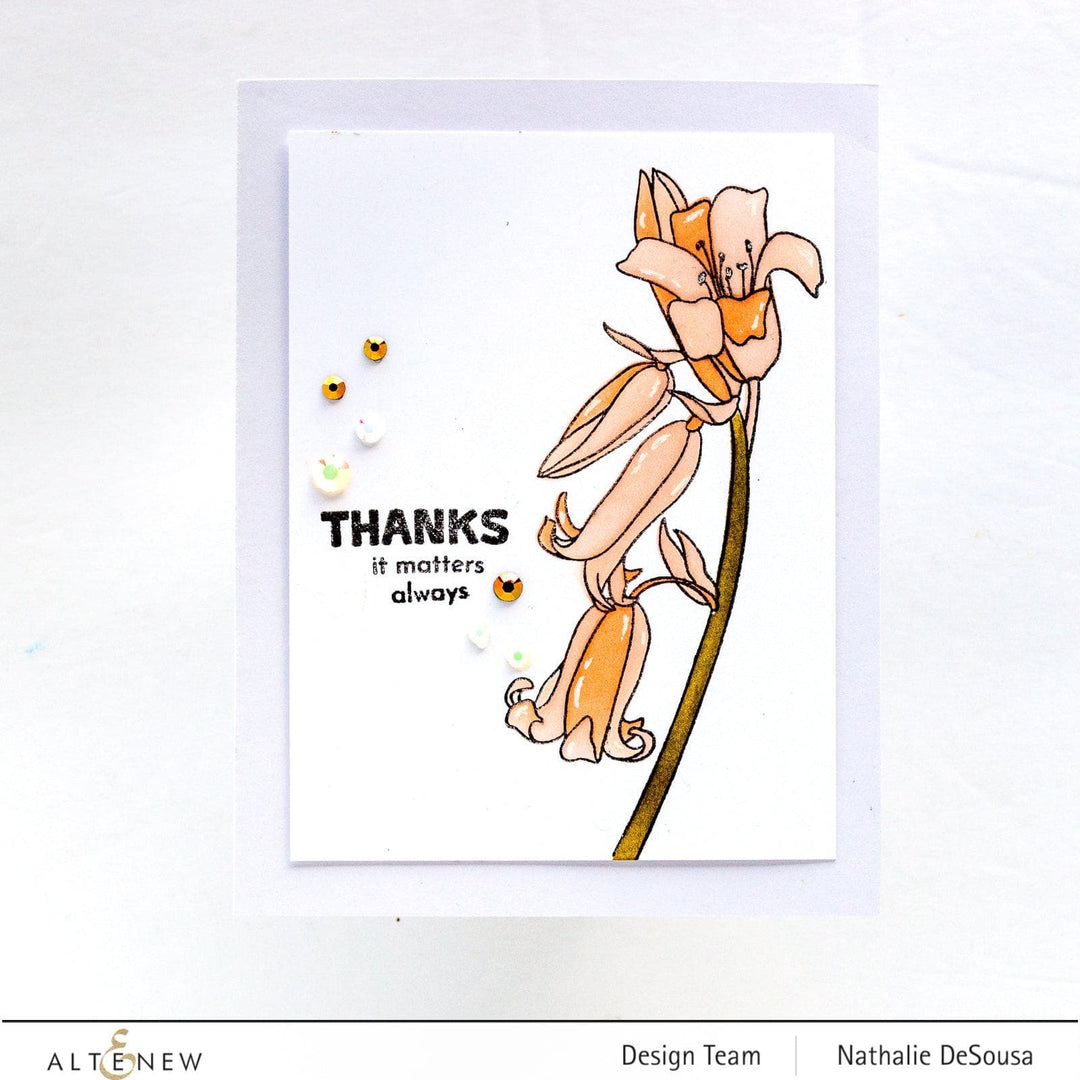 Photocentric Clear Stamps Beautiful Inside Add-On Stamp Set