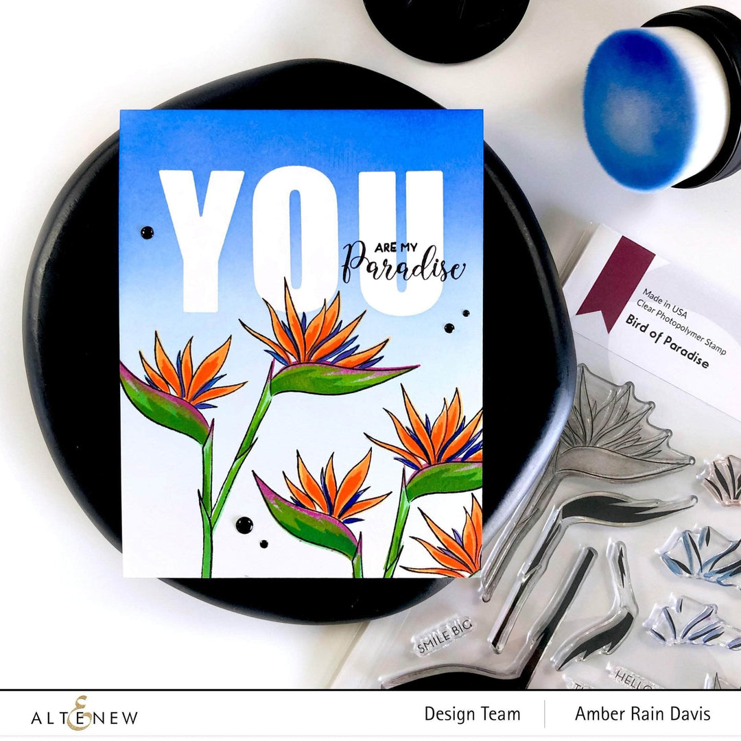 Photocentric Clear Stamps Bird of Paradise Stamp Set