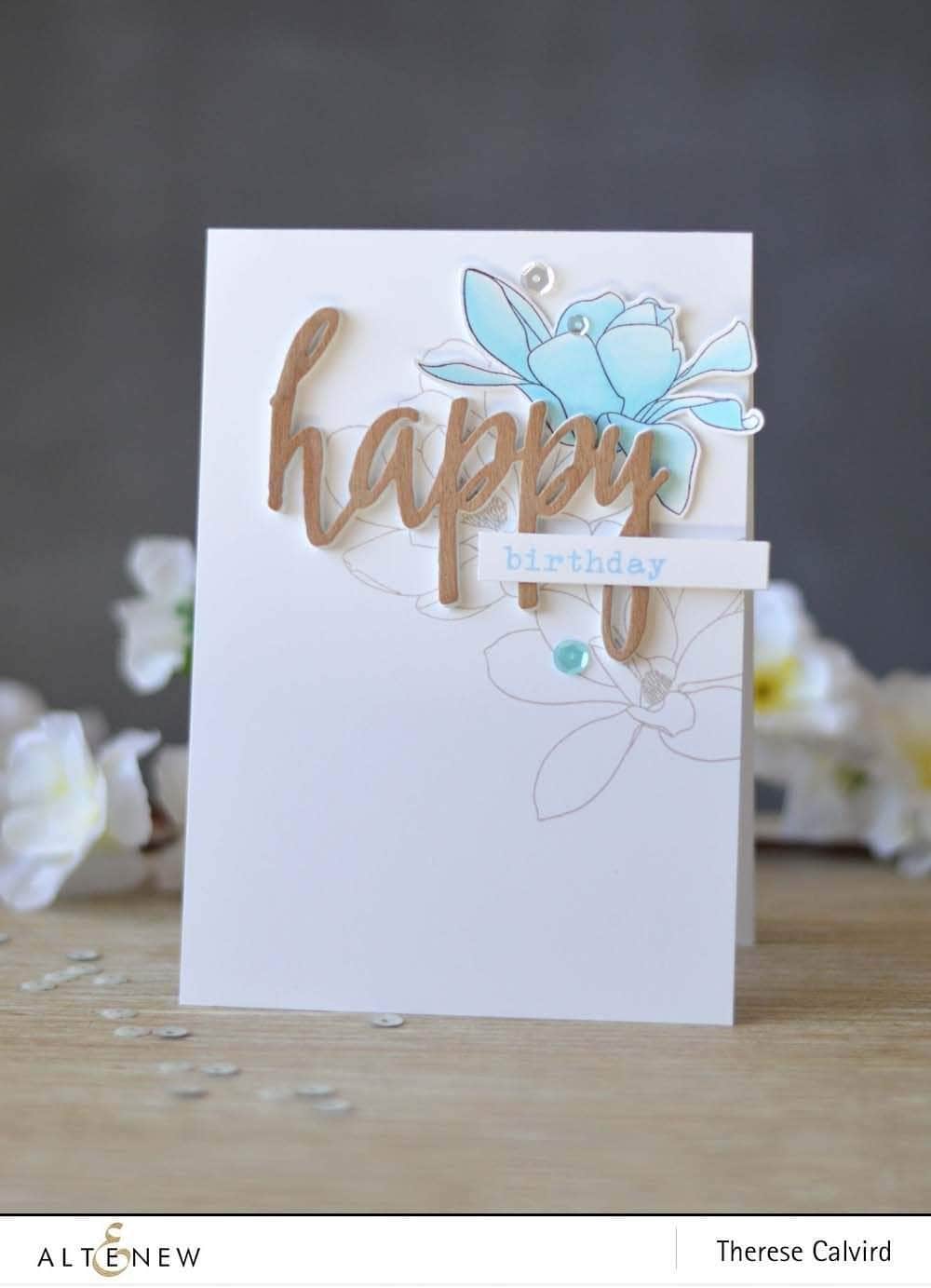 Photocentric Clear Stamps Birthday Greetings Stamp Set