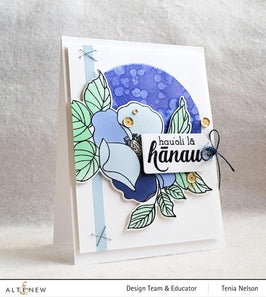 Photocentric Clear Stamps Birthdays Around the World Stamp Set