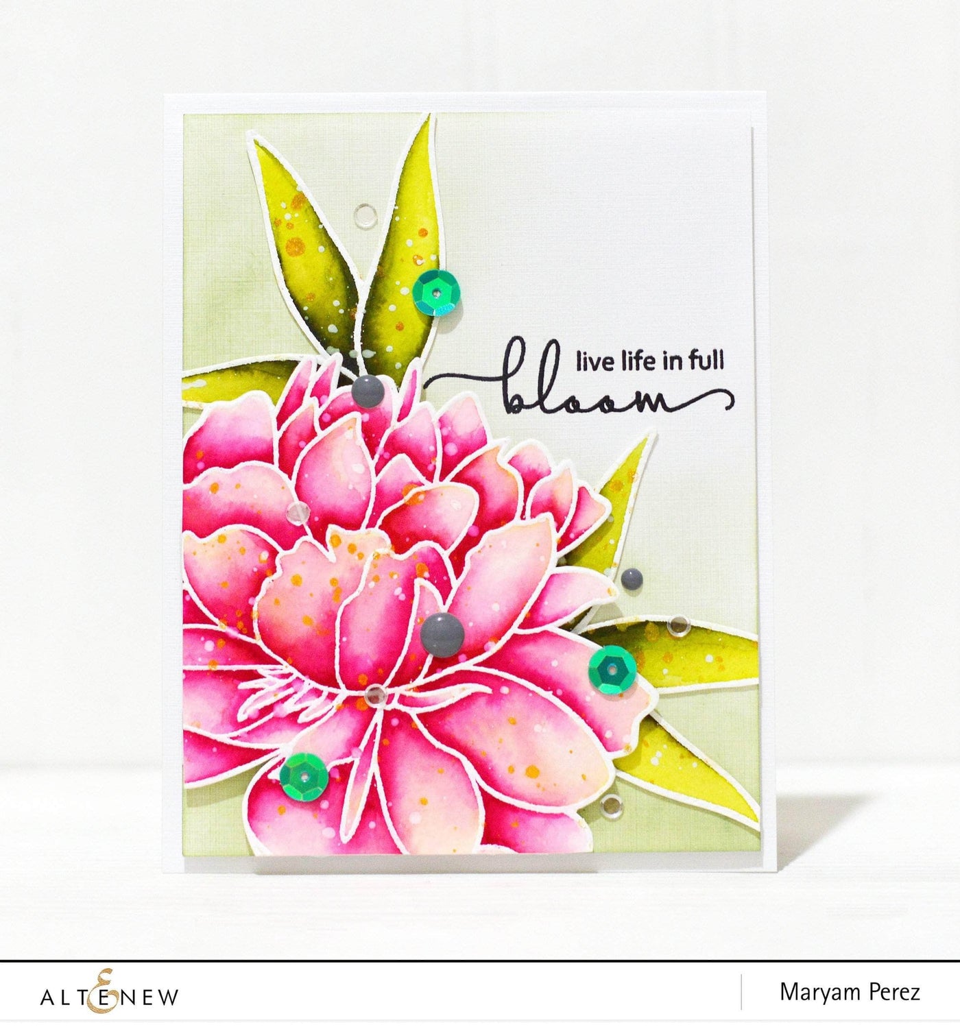 Blooms & Succulents Embroidery Pattern Transfers – Peter Pauper Press