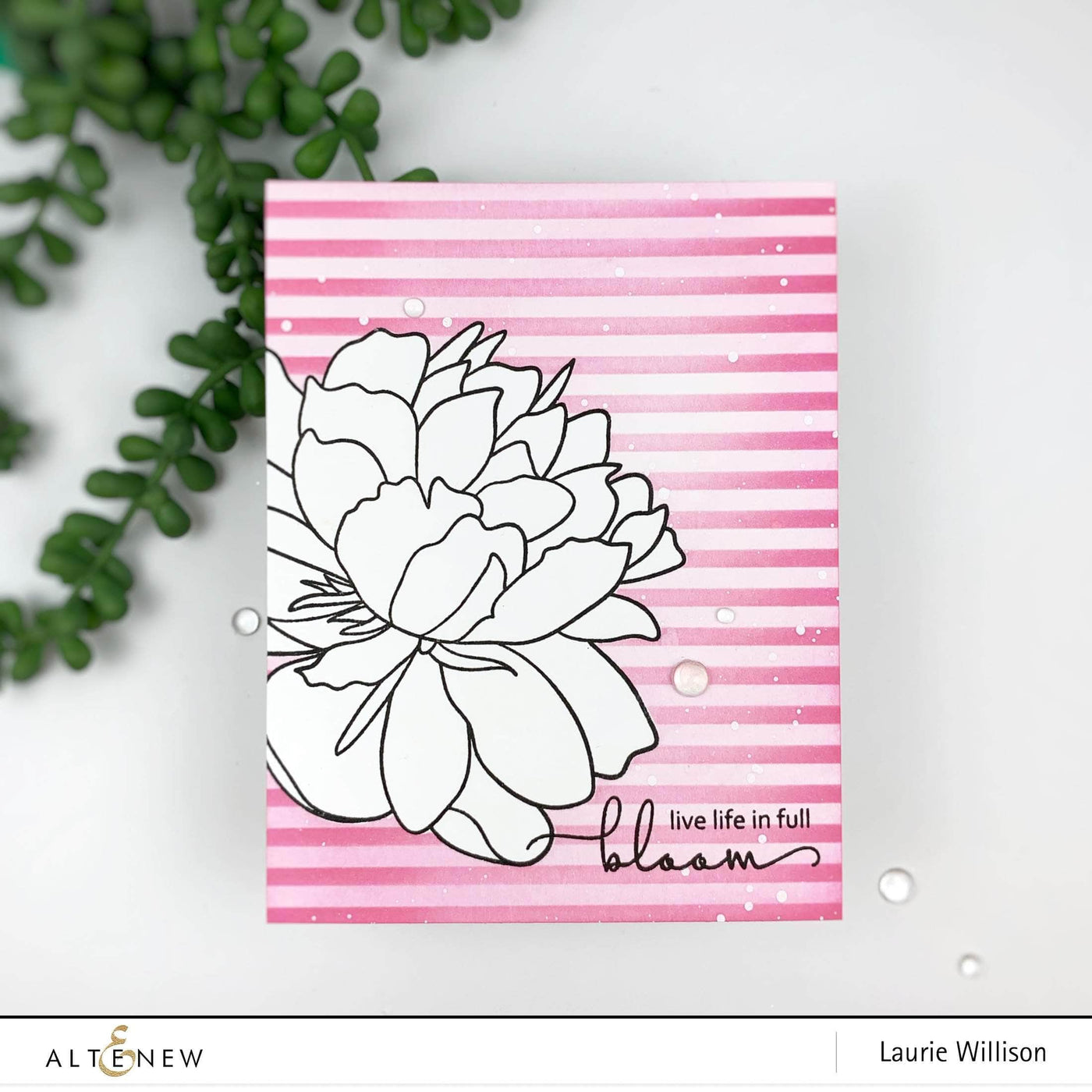 Hero Arts Clear Stamps Bloom & Grow Stamp Set (Altenew + HA Collaboration Stamp)