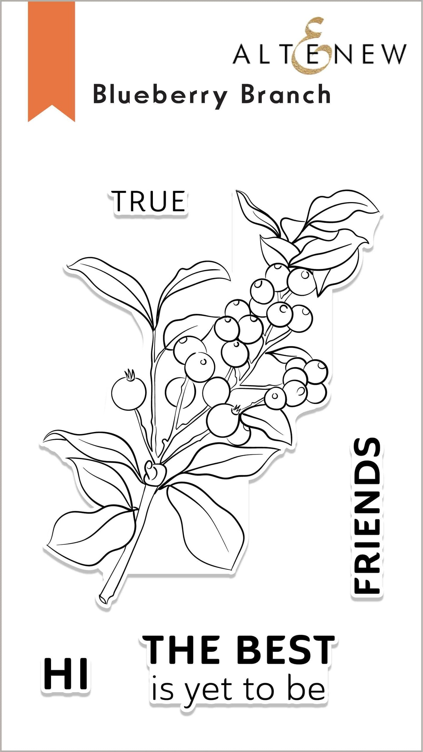 Photocentric Clear Stamps Blueberry Branch Stamp Set