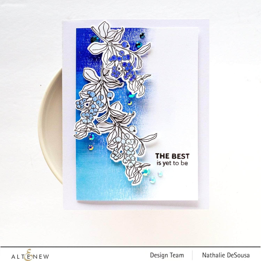 Photocentric Clear Stamps Blueberry Branch Stamp Set