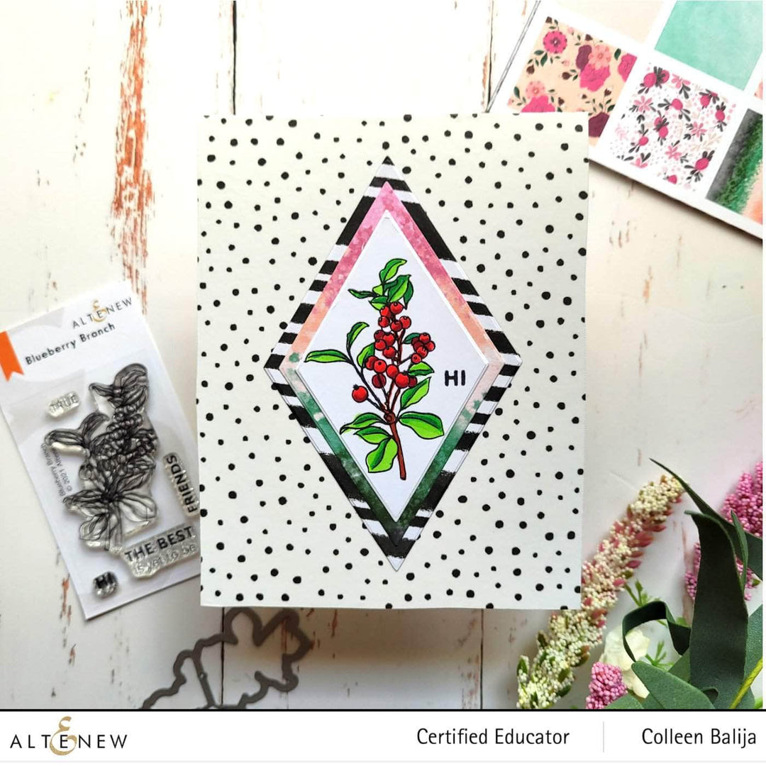 Photocentric Clear Stamps Blueberry Branch Stamp Set