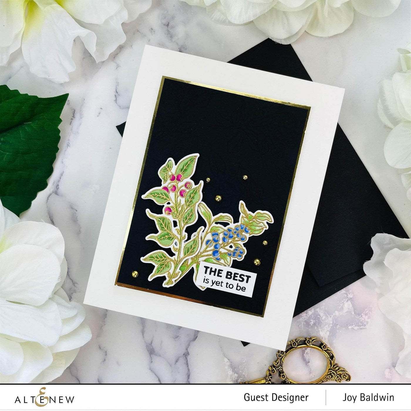 Photocentric Clear Stamps Blueberry Branch Stamp Set