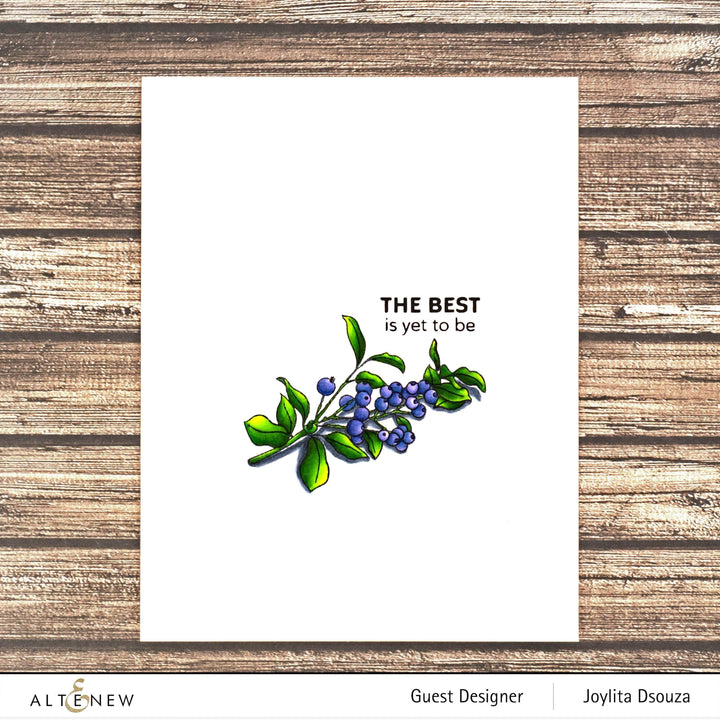 Photocentric Clear Stamps Blueberry Branch Stamp Set