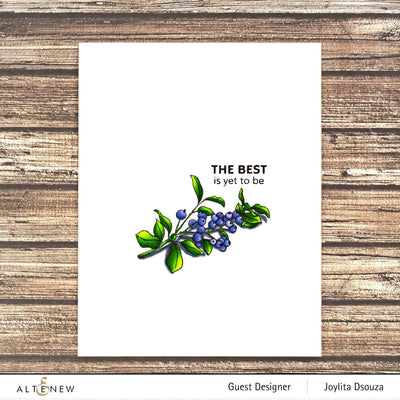 Photocentric Clear Stamps Blueberry Branch Stamp Set