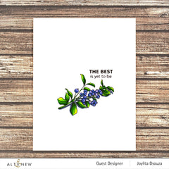 Photocentric Clear Stamps Blueberry Branch Stamp Set