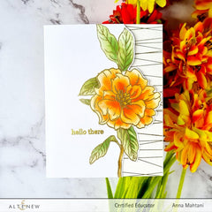 Photocentric Clear Stamps Botanical Illustrations Stamp Set