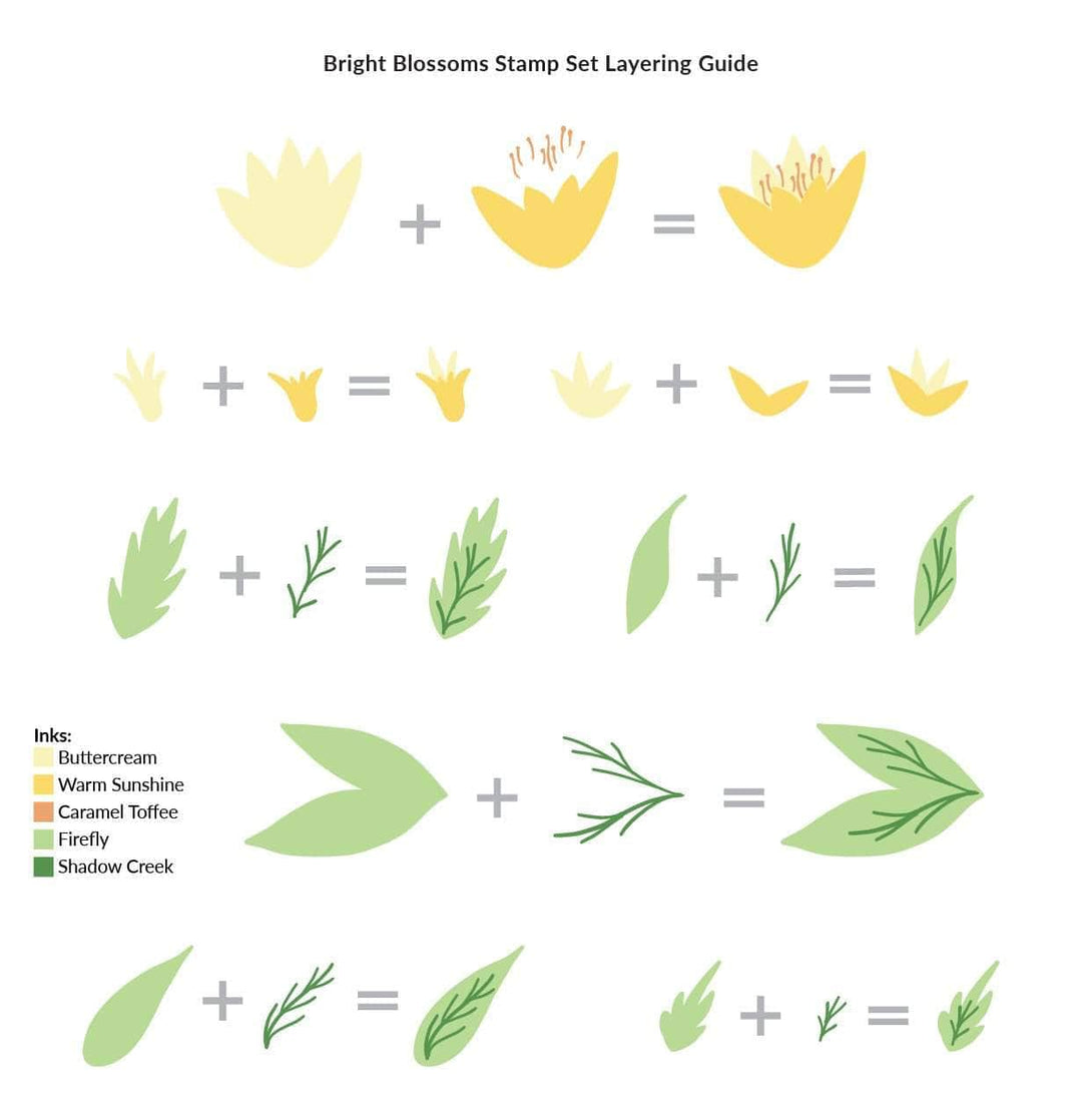 Photocentric Clear Stamps Bright Blossoms Stamp Set