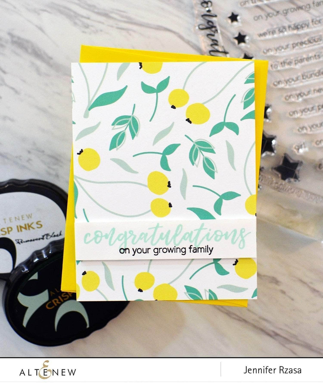 Photocentric Clear Stamps Bundle of Joy Stamp Set