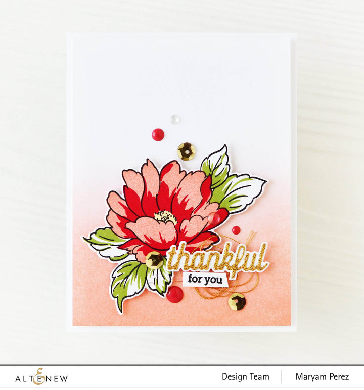 Photocentric Clear Stamps Celebrate Us Stamp Set