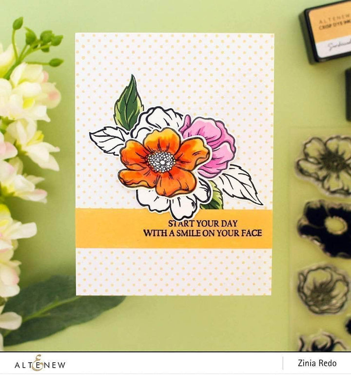 Photocentric Clear Stamps Dainty Swiss Dots Stamp Set