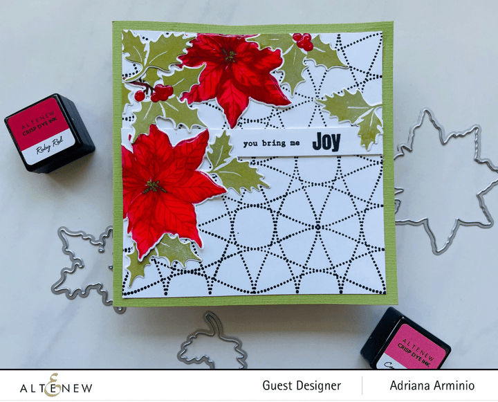 Photocentric Clear Stamps Dotted Pinwheels Stamp Set