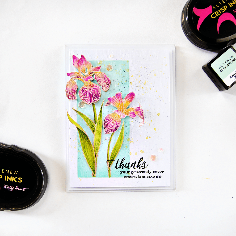 Photocentric Clear Stamps Enchanted Iris Stamp Set