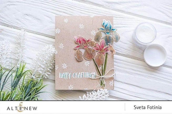 Photocentric Clear Stamps Enchanted Iris Stamp Set