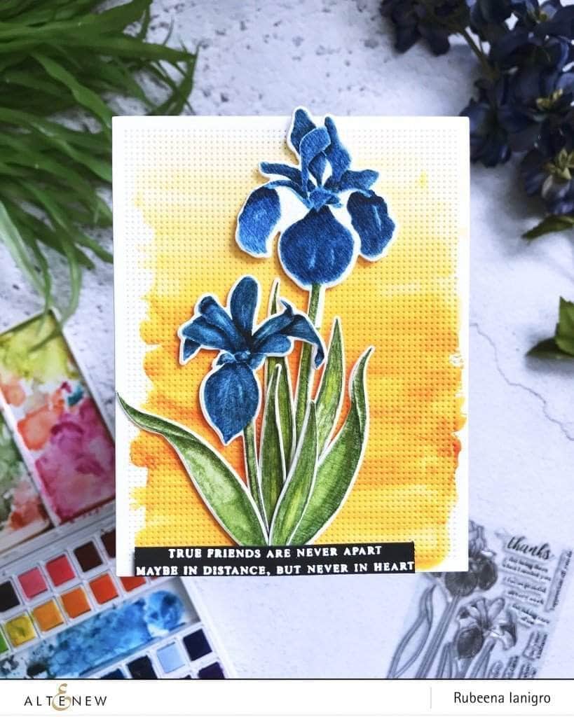 Photocentric Clear Stamps Enchanted Iris Stamp Set