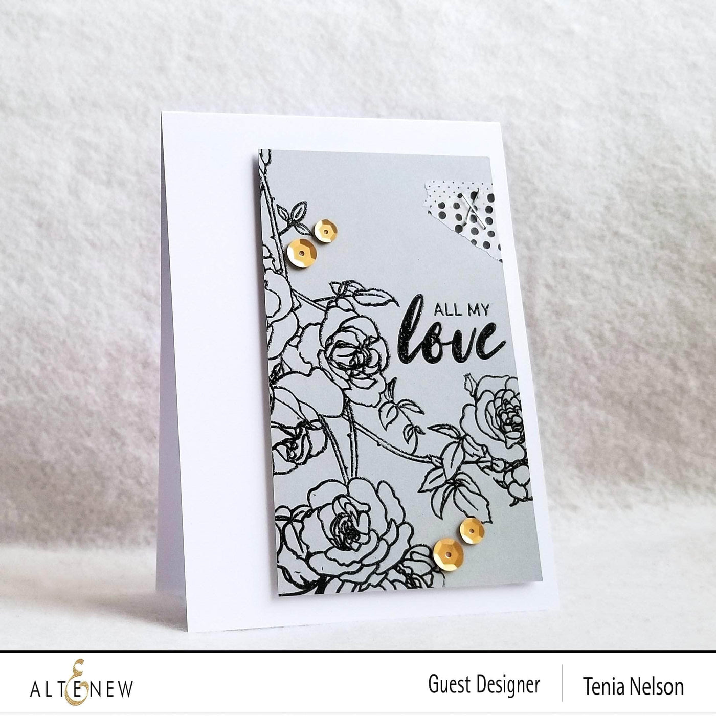 Photocentric Clear Stamps Enchanted Roses Stamp Set