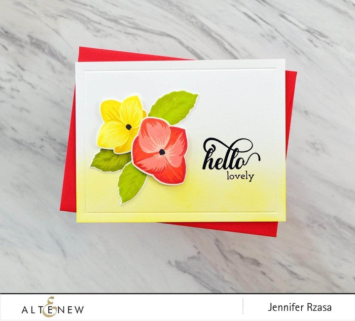 Photocentric Clear Stamps Fancy Greetings Stamp Set