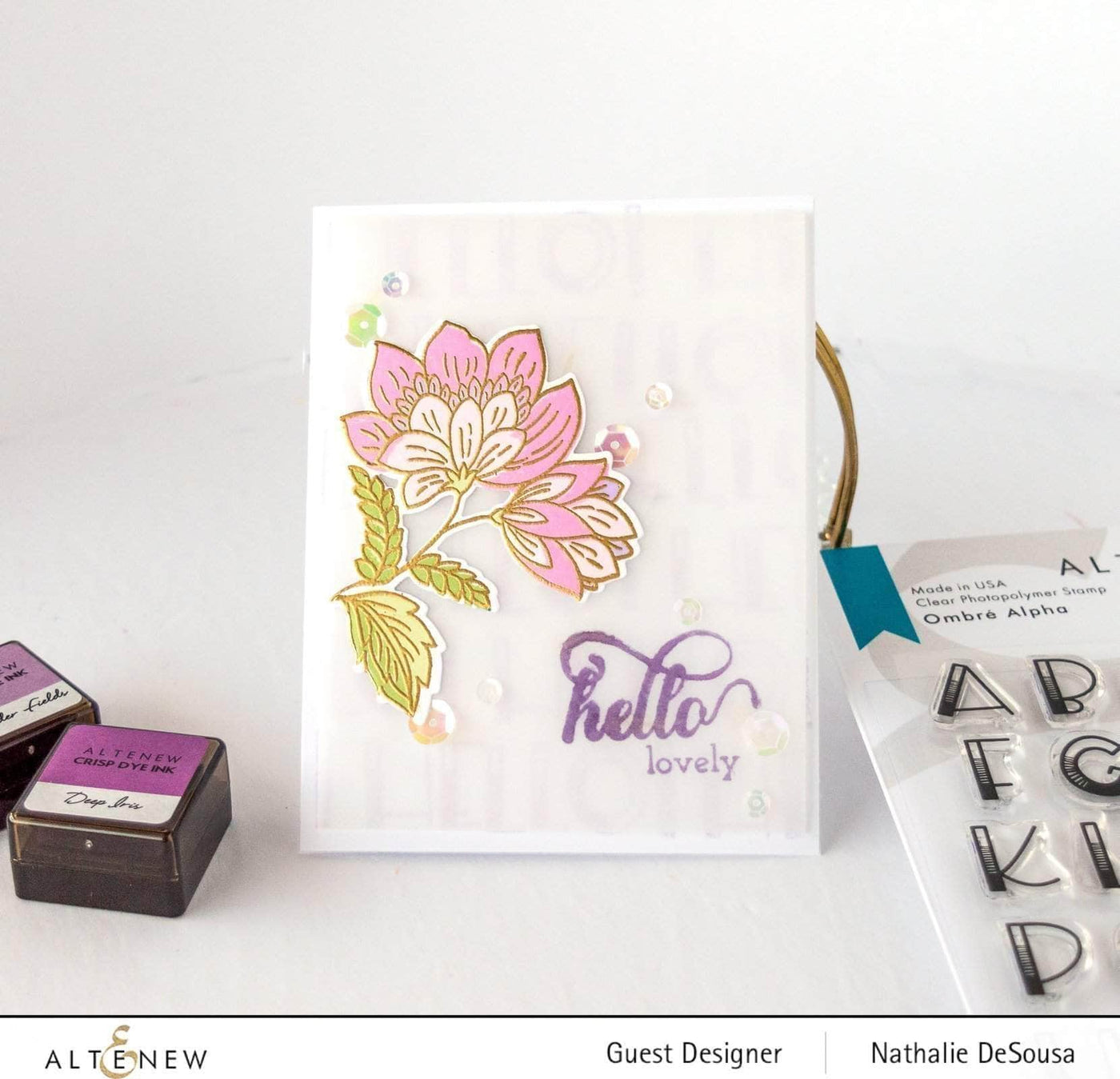 Photocentric Clear Stamps Fancy Greetings Stamp Set