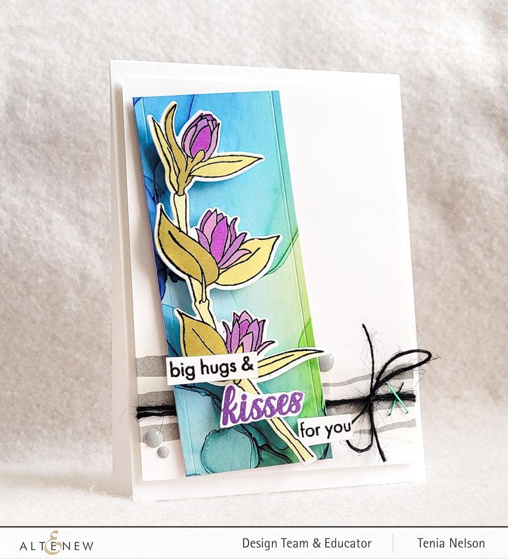 Photocentric Clear Stamps Fancy Kisses Stamp Set