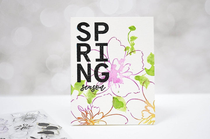 Photocentric Clear Stamps For All Seasons Stamp Set