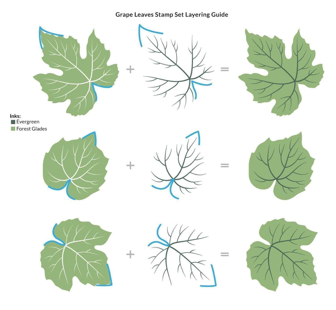 Altenew Grape Leaves Clear Stamp Set featuring detailed grape leaf designs for crafting and card making projects.