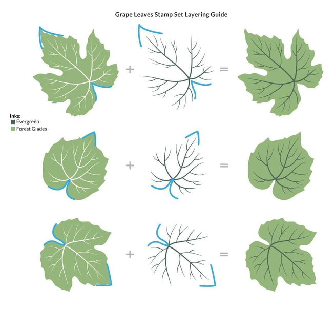 Altenew Grape Leaves Clear Stamp Set featuring detailed grape leaf designs for crafting and card making projects.