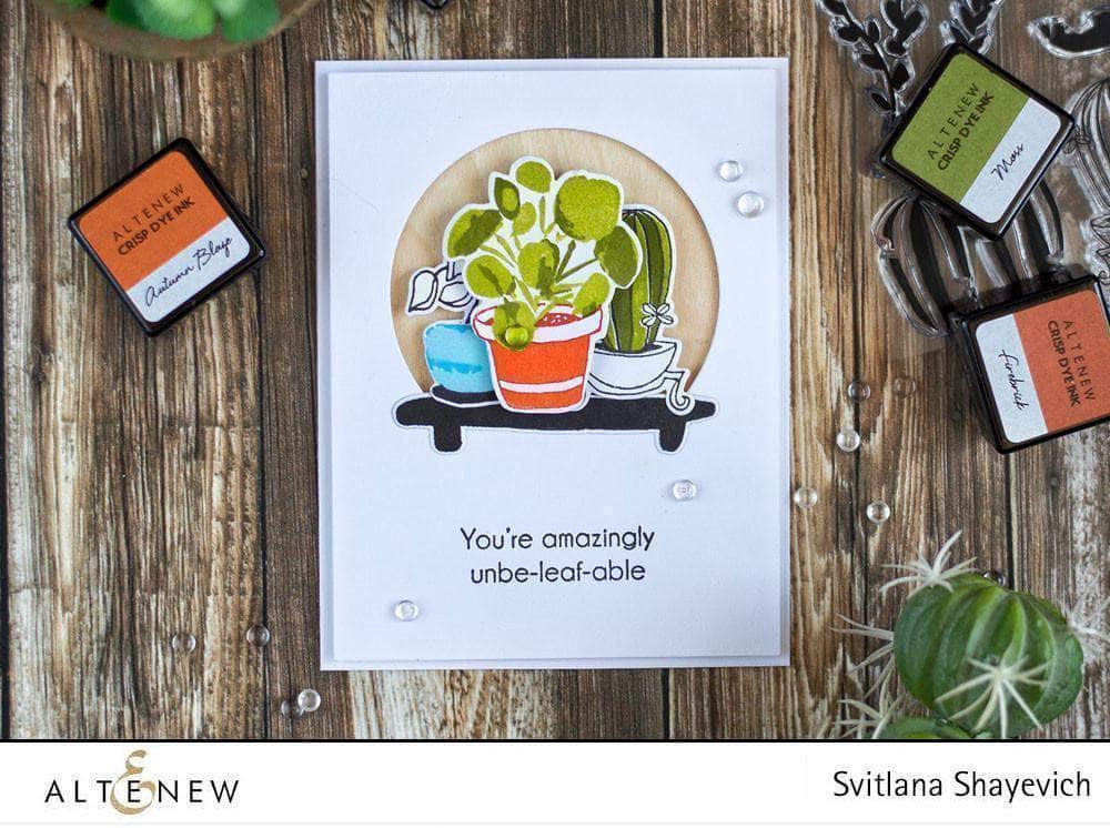 Photocentric Clear Stamps Indoor Garden Stamp Set